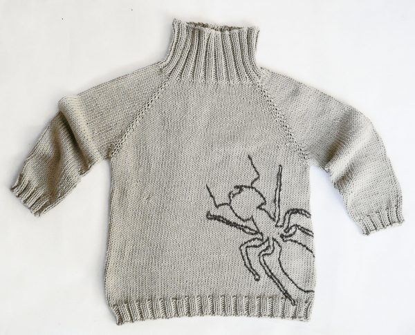 childs raglan sleeve sweater