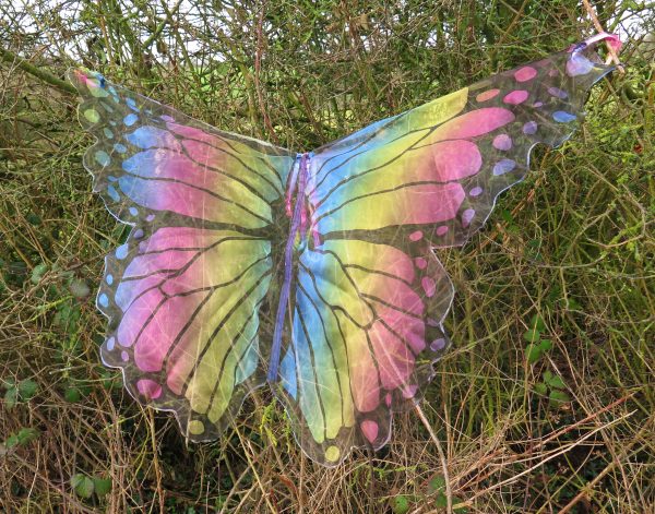 Fairy Wings Sewing Pattern