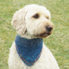 dog scarf
