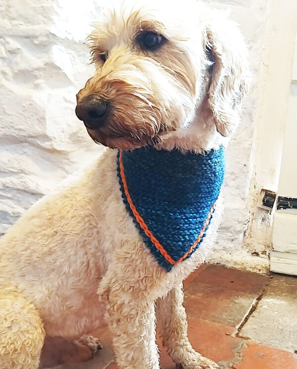 dog bandana
