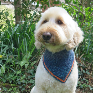 easy dog bandana knitting pattern