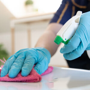 lady cleaning surfaces