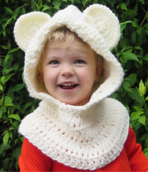 bear ears hat