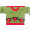 crochet robin sweater