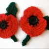 remembrance day poppy