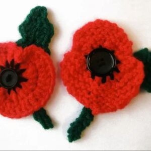 remembrance day poppy