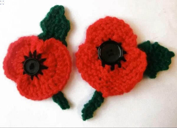 remembrance day poppy