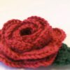 crochet brooch