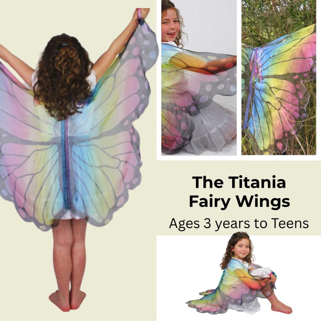fairy wings