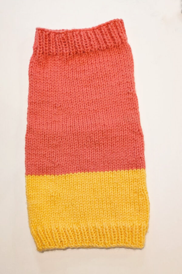 dog neckwarmer