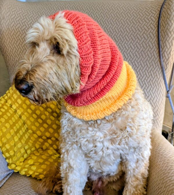 dog snood, earwarmer