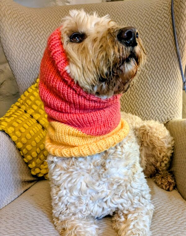 dog cowl