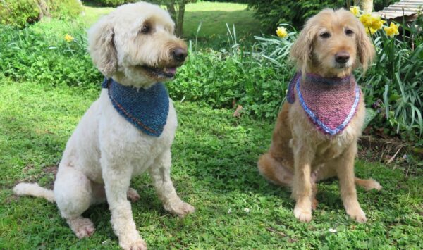 chunky dog bandana